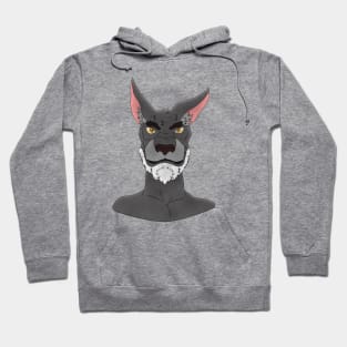 Anthro animal face Hoodie